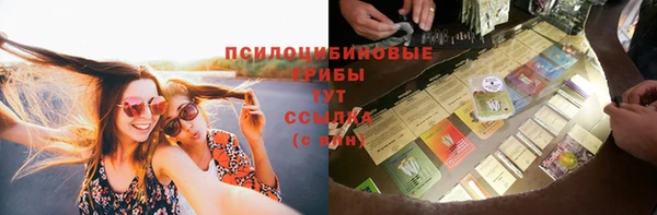 крисы Аркадак