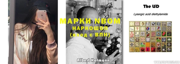 ешки Алексин