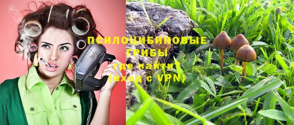 крисы Аркадак