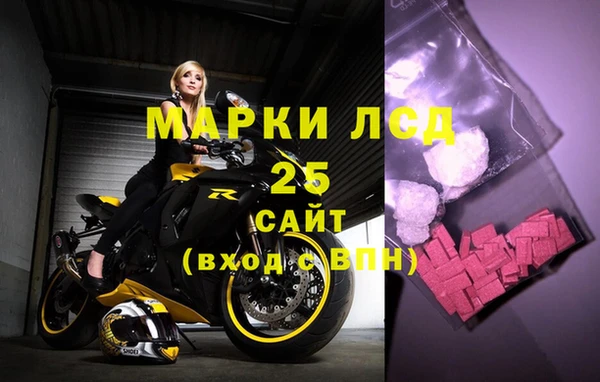 крисы Аркадак