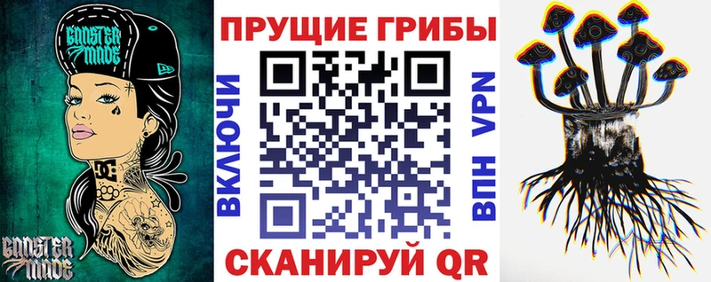Псилоцибиновые грибы прущие грибы  Строитель 